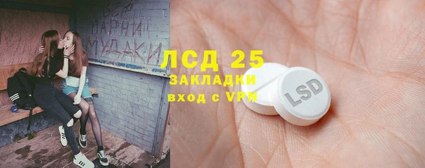 ПСИЛОЦИБИНОВЫЕ ГРИБЫ Балахна
