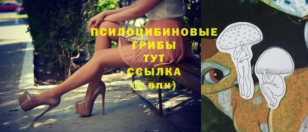 ПСИЛОЦИБИНОВЫЕ ГРИБЫ Балахна